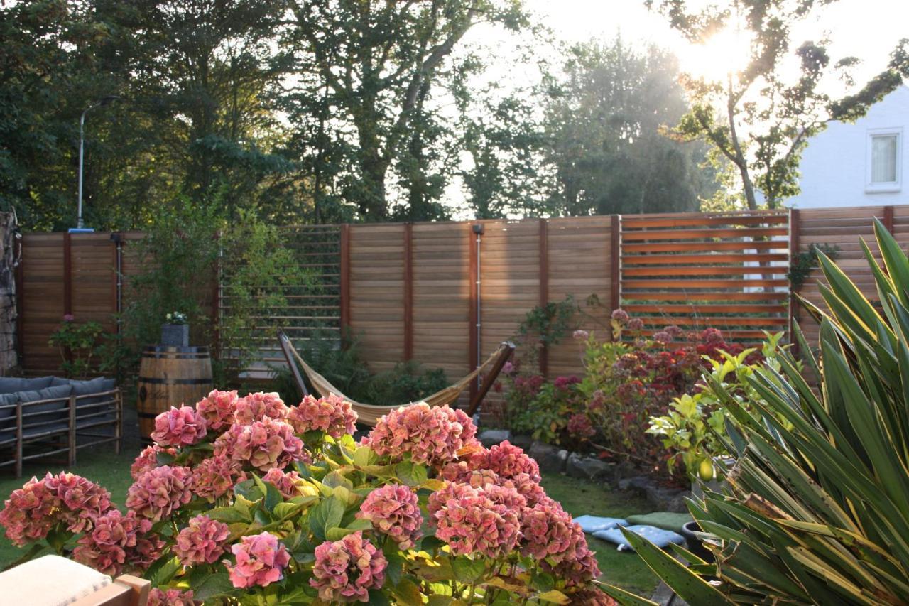 Maison Bellefleur B&B - Pension Renesse Zewnętrze zdjęcie