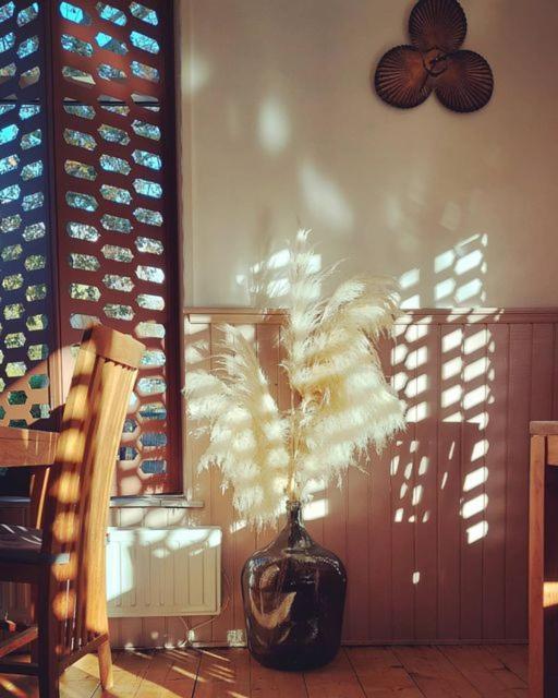 Maison Bellefleur B&B - Pension Renesse Zewnętrze zdjęcie