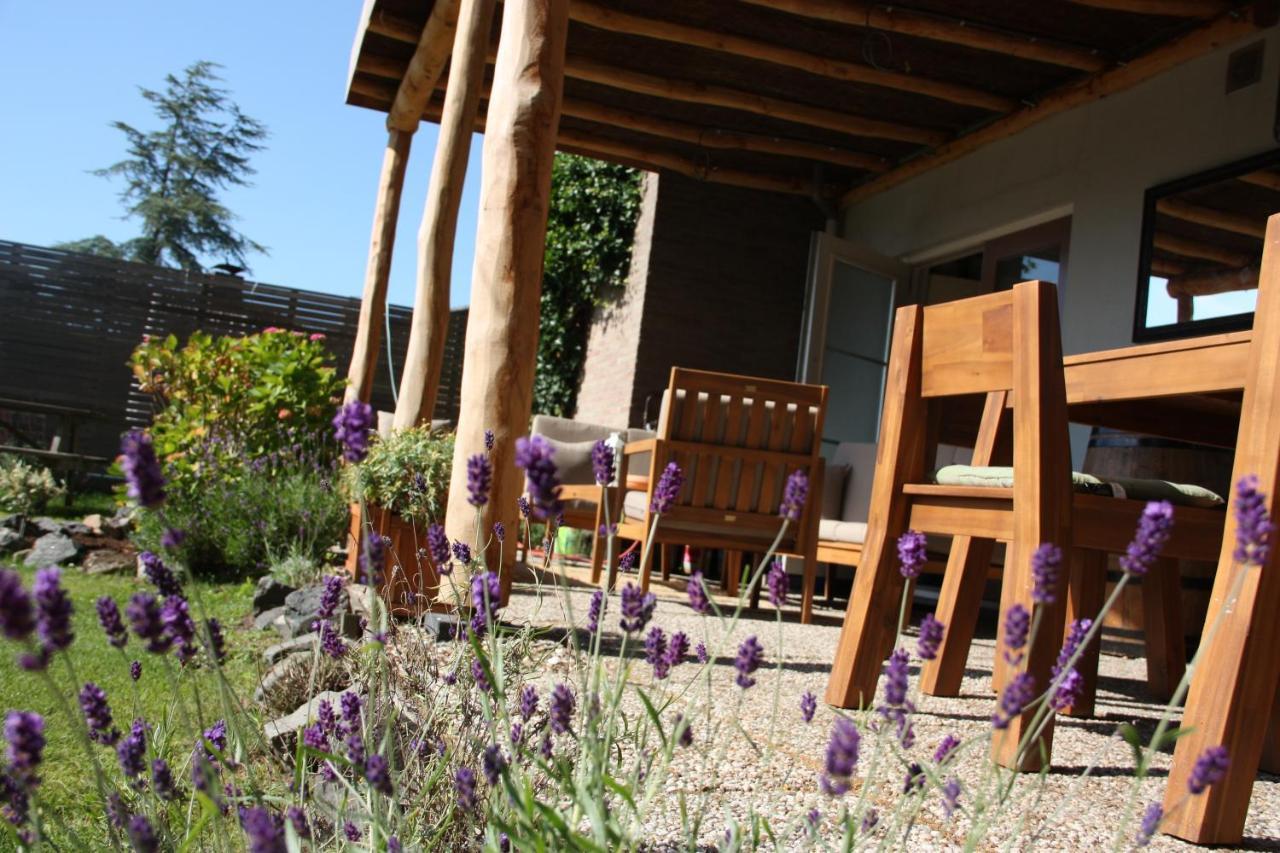 Maison Bellefleur B&B - Pension Renesse Zewnętrze zdjęcie