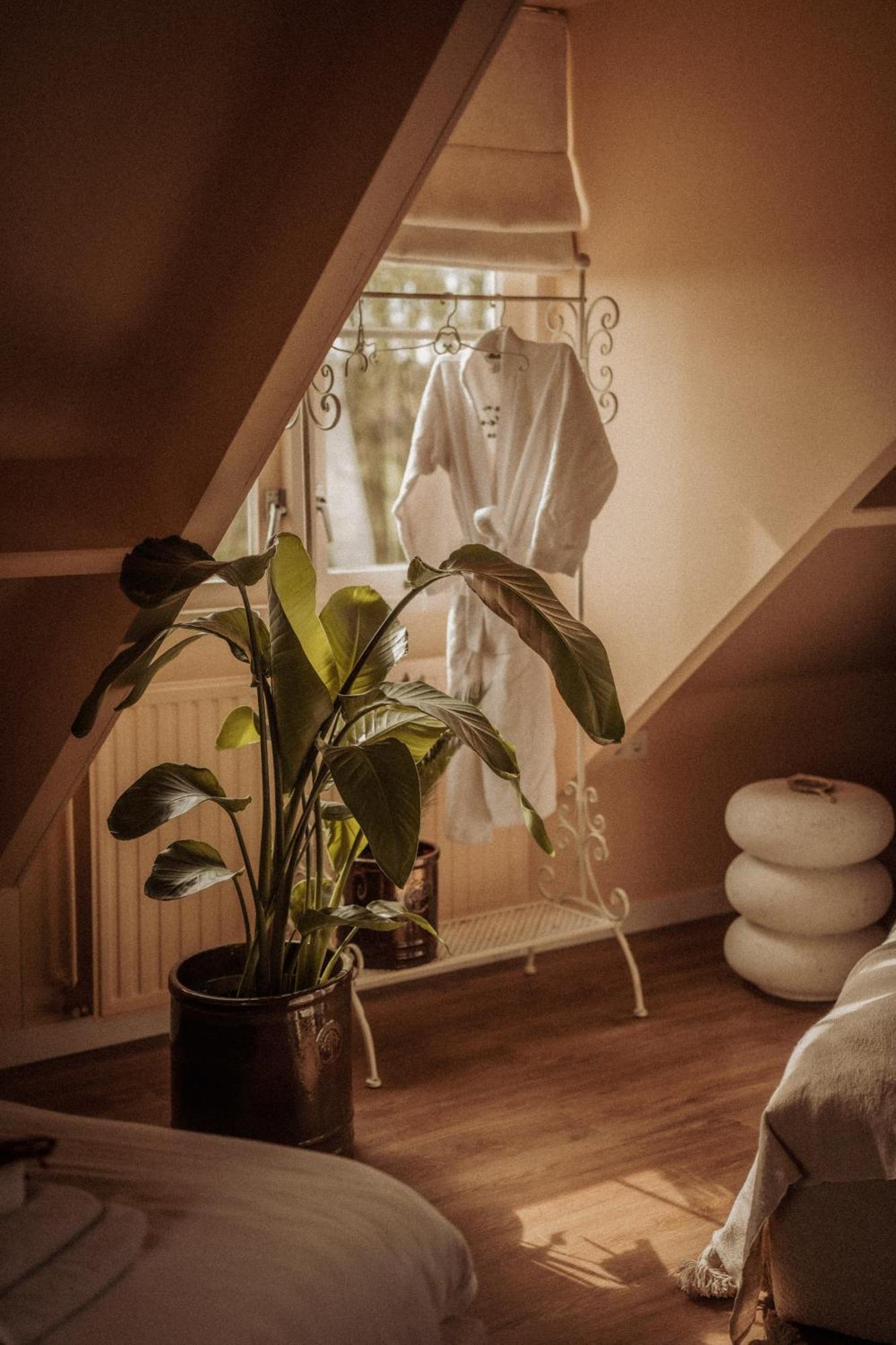 Maison Bellefleur B&B - Pension Renesse Zewnętrze zdjęcie